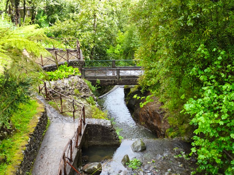 Levada-Wanderung bei Ribeiro Frio auf Madeira - ©Eberhardt TRAVEL - Hans-Joachim Trutz