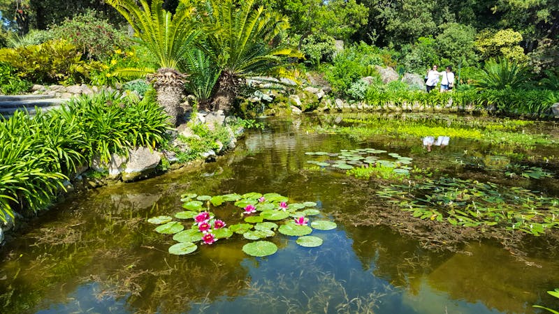 Botanischer Garten - Giardini la Mortella - &copy;Eberhardt TRAVEL - Betina Marinow