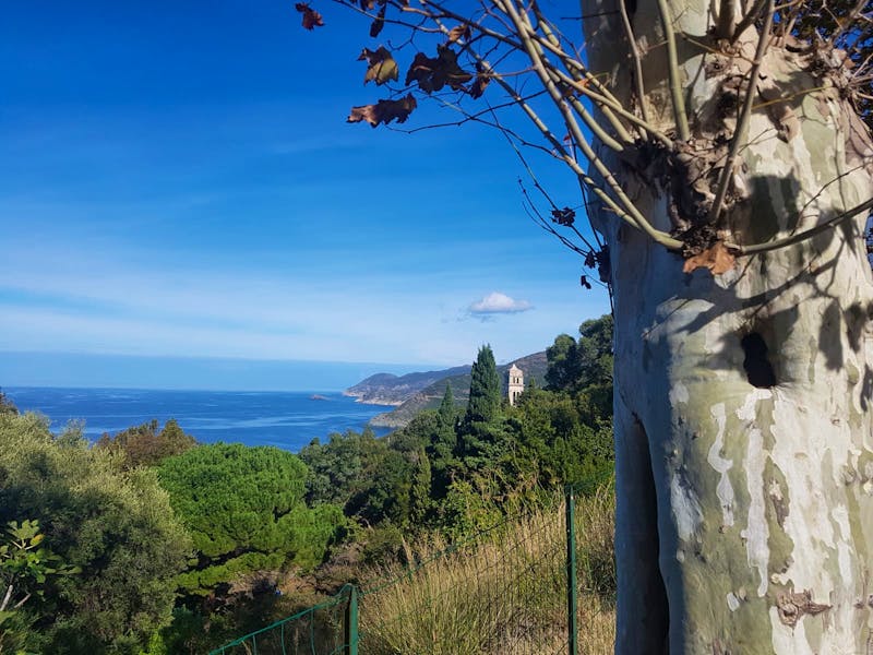 Cap Corse - Küstenrundfahrt  - ©Petra Hady