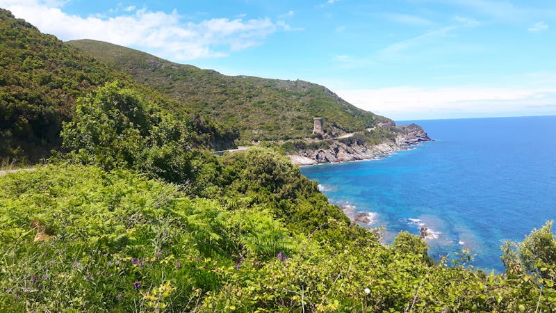 Cap Corse - Genuesischer Wachturm - ©Katrin Deutschbein
