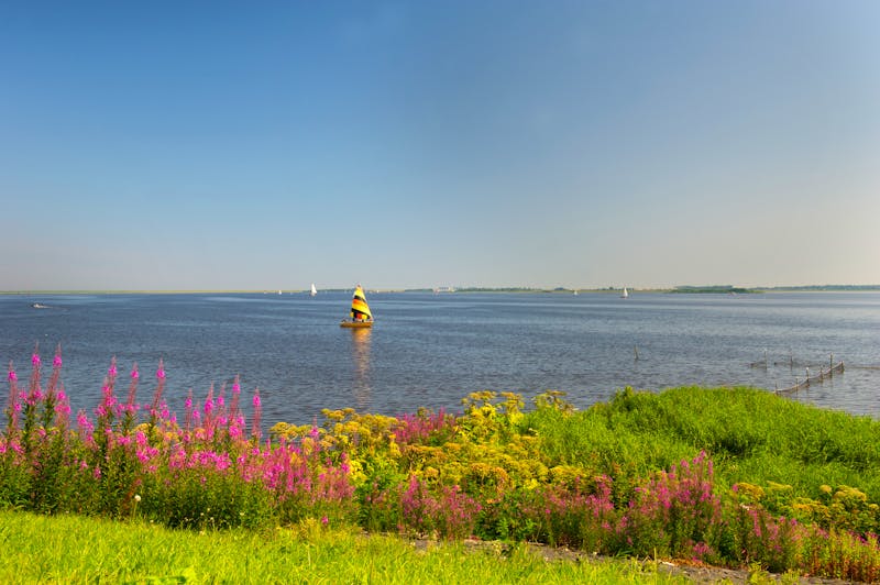 Lauwersmeer - ©©Ivonne Wierink - stock.adobe.com