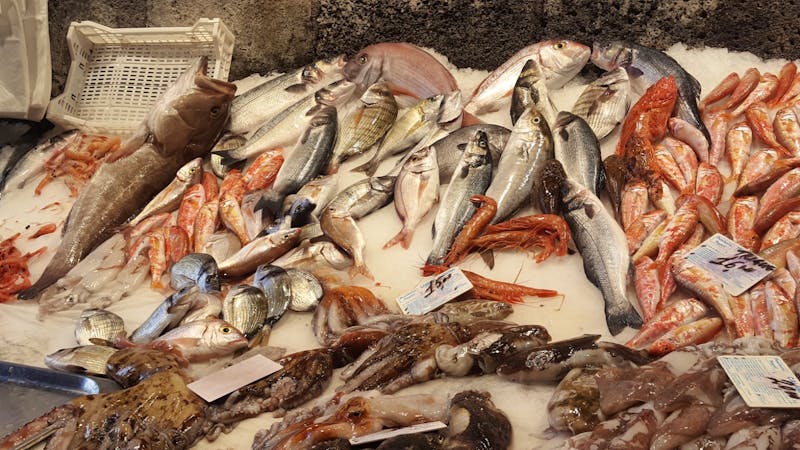Catania - Fischmarkt - ©Maxi Goldbach