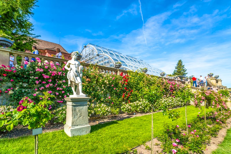 Rosengarten, Insel Mainau - ©pure-life-pictures - stock.adobe.com