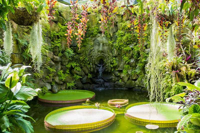 Botanischer Garten La Mortella - &copy;naoko - stock.adobe.com