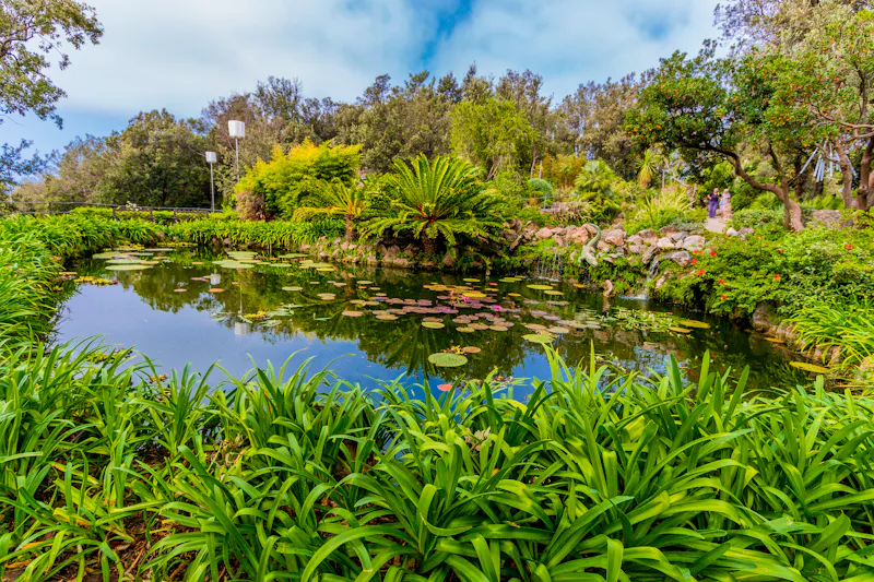 Botanischer Garten La Mortella - &copy;Lorenza - stock.adobe.com