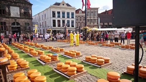 Käsemarkt in Gouda &ndash; &copy; Dr. Michael Krause