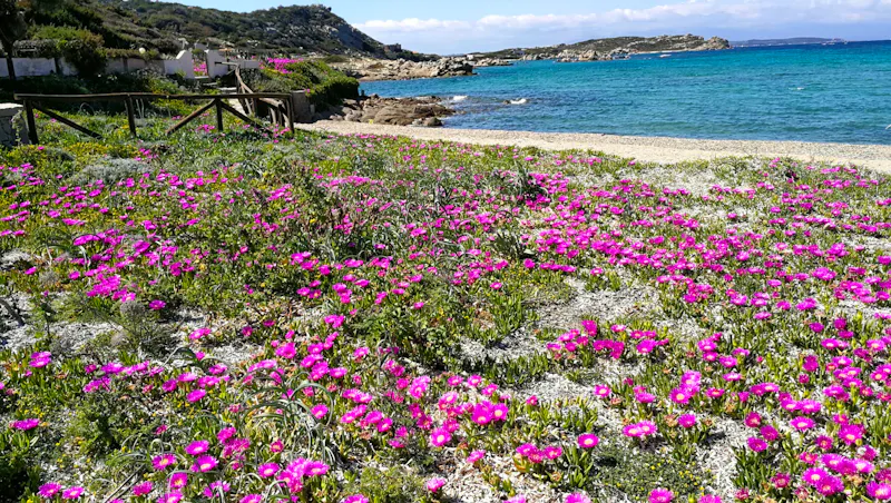 La Maddalena - &copy;Andreas Mandel