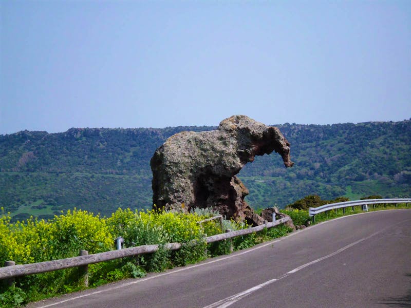 Elefantenfelsen - Straße bei Castelsardo  - ©Anne-Katrin Müller