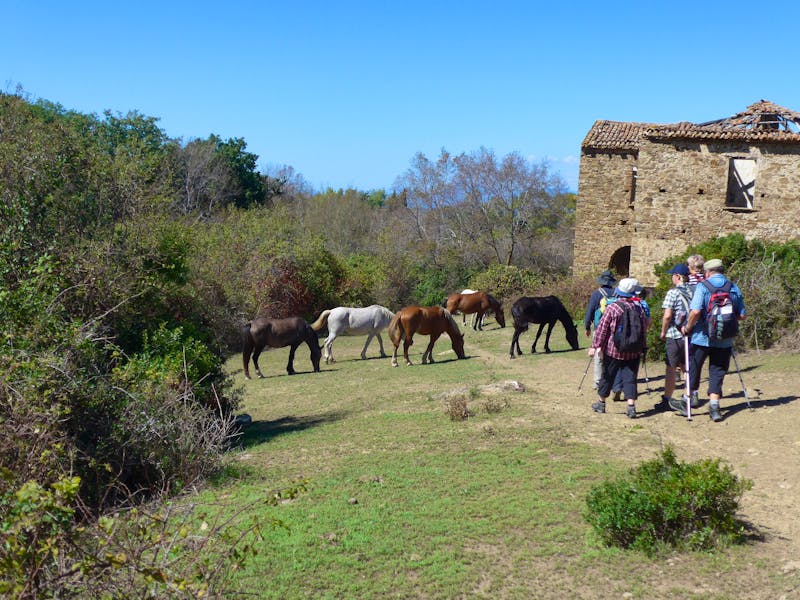 Cilento - Wanderung Punta Tresino - ©Ria Heilmann