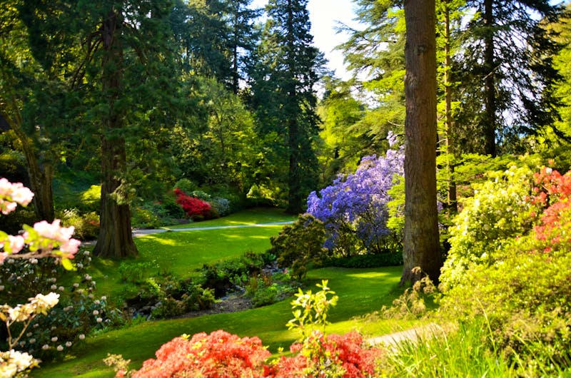 National Botanischer Garten von  Wales - ©Eberhardt TRAVEL - Konrad Füssel