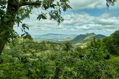 Hochland von Nicaragua - Fahrt nach Matagalpa &ndash; &copy; ©magdiel - stock.adobe.com