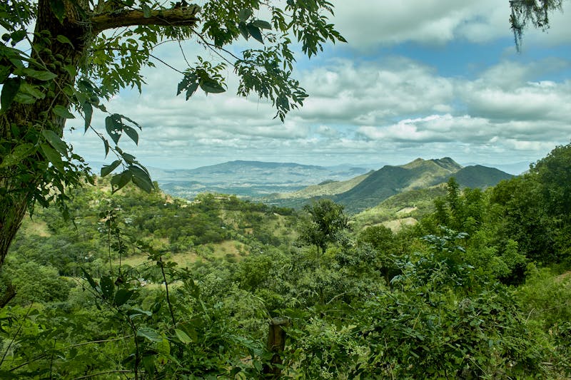 Hochland von Nicaragua - Fahrt nach Matagalpa - ©©magdiel - stock.adobe.com