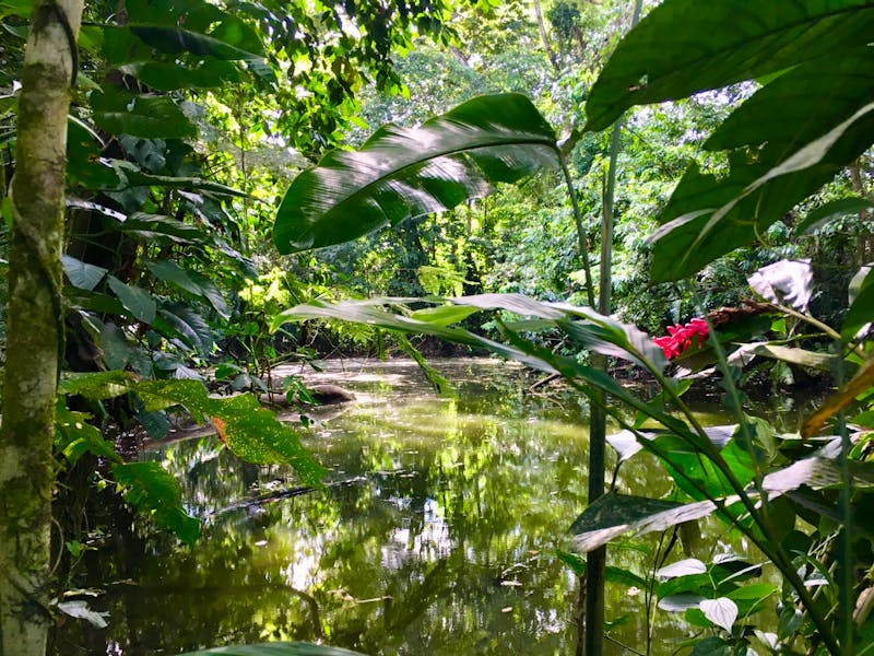 Der Teich  - ©Eberhardt TRAVEL - Elisabeth Fox-Maerki