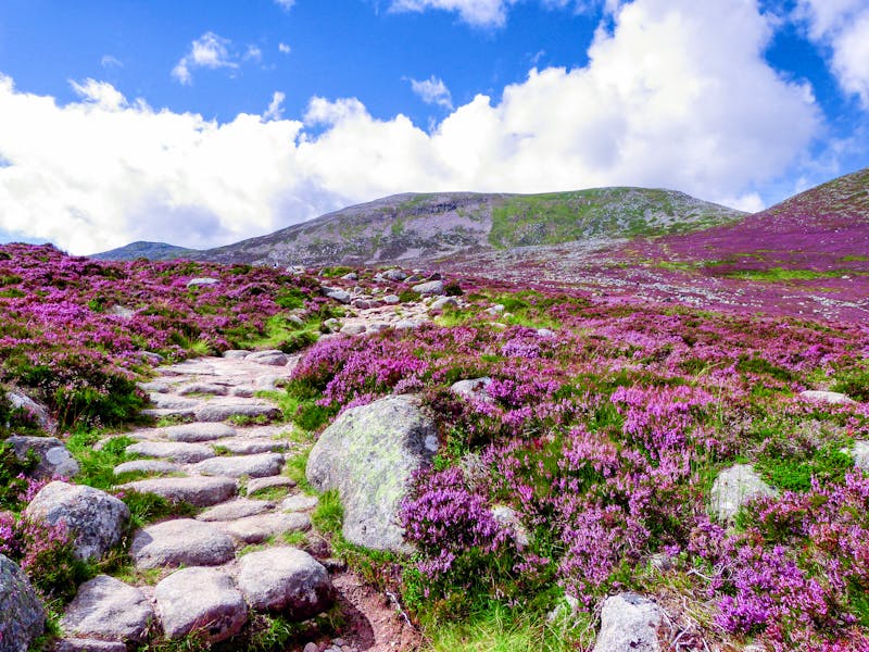 Scotland Cairngorms National Park - ©©Martina - stock.adobe.com