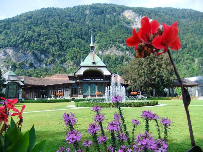 Im Kurpark von Interlaken - ©Martina Pötschke