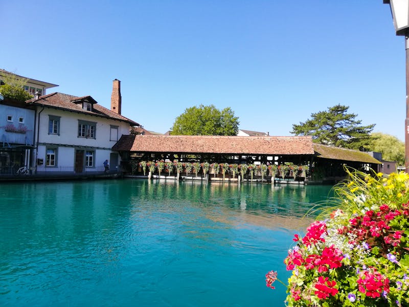 Thun - ©Gisela Gerlach