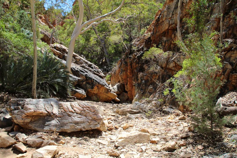 Western Macdonnell Ranges – Standley Chasm - ©Martin Jentzsch