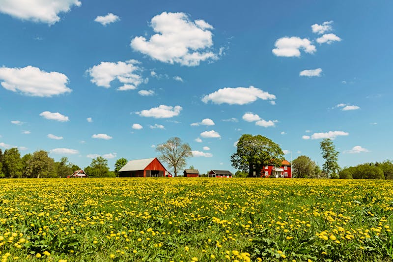 Landschaft in Smaland - ©Alexander Hall/imagebank.sweden.se