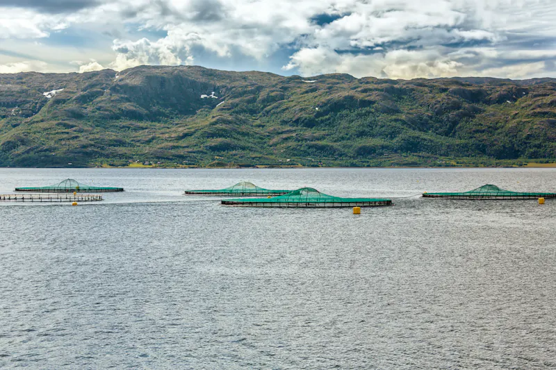 Lachs-Fischfarm in der Lyngen-Region • Nord-Norwegen  - &copy;RokaB - stock.adobe.com