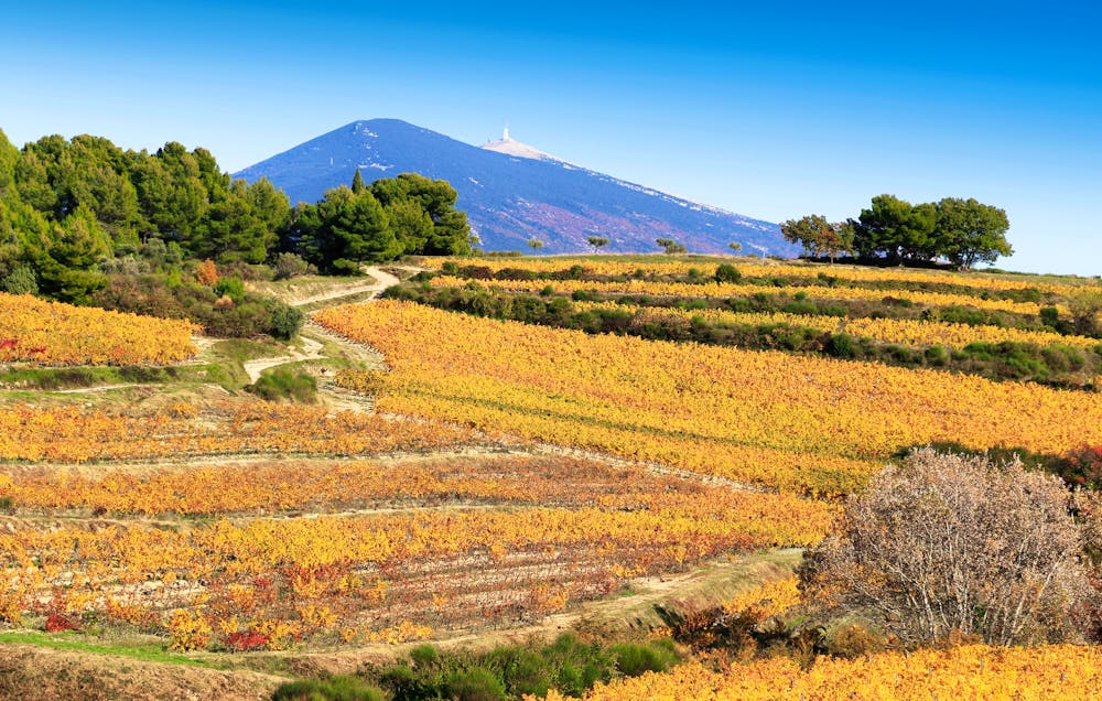 Mont Ventoux im Naturpark Luberon &ndash; &copy; ©lamax - stock.adobe.com
