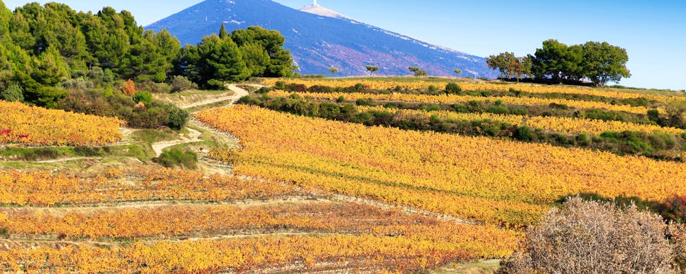 Mont Ventoux im Naturpark Luberon – © ©lamax - stock.adobe.com