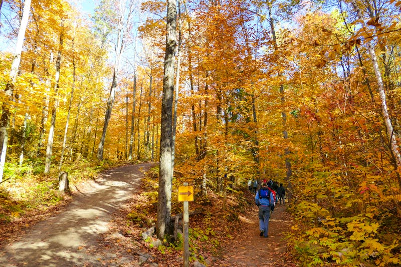 Spaziergang im Algonquin Provincial Park - Indian Summer - ©Eberhardt TRAVEL - Alexander Zachow