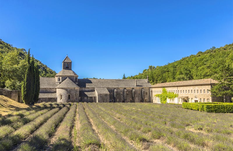 Kloster von Senanque in der Provence - ©©travelview - stock.adobe.com