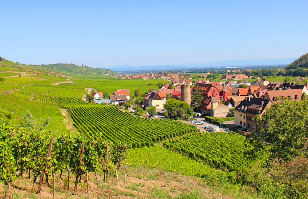 Kaysersberg in den Vogesen - Elsass &ndash; &copy; ©Moebs Stéphane - stock.adobe.com