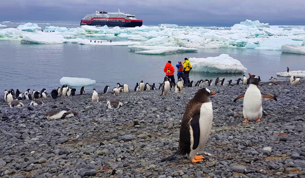 Antarktis-Kreuzfahrt mit dem Hurtigruten Hybridschiff Roald Amundsen – © Eberhardt TRAVEL - Jacob Spangenberg