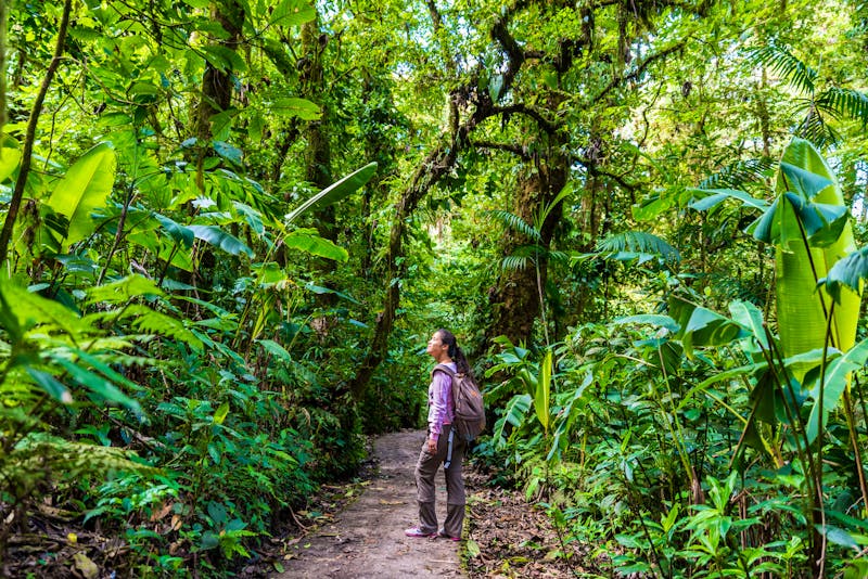 Wanderung im Regenwald von Costa Rica - ©©Simon Dannhauer - stock.adobe.com
