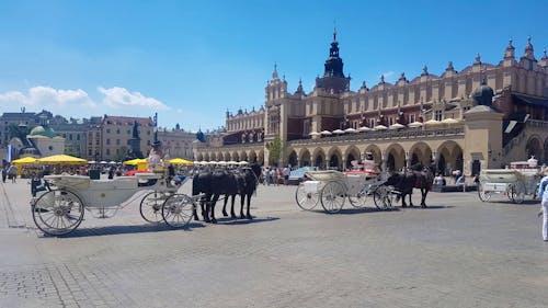 Rynek Krakau &ndash; &copy; Rainer Kasüschke