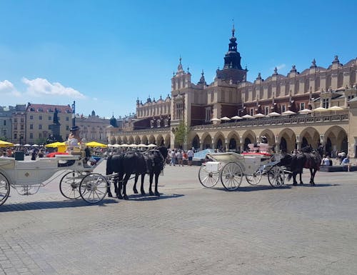Rynek Krakau – © Rainer Kasüschke