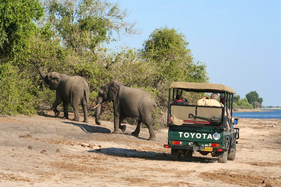 Elefanten auf Safari am Chobe-Ufer – © Annett Müller - Eberhardt TRAVEL