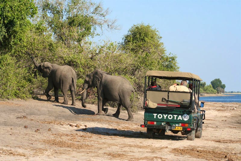 Elefanten auf Safari am Chobe-Ufer - ©Annett Müller - Eberhardt TRAVEL