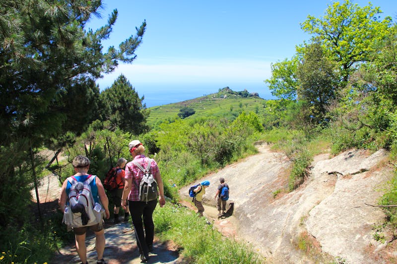 Abstieg vom Epomeo - &copy;Dr. Uwe Lorenz