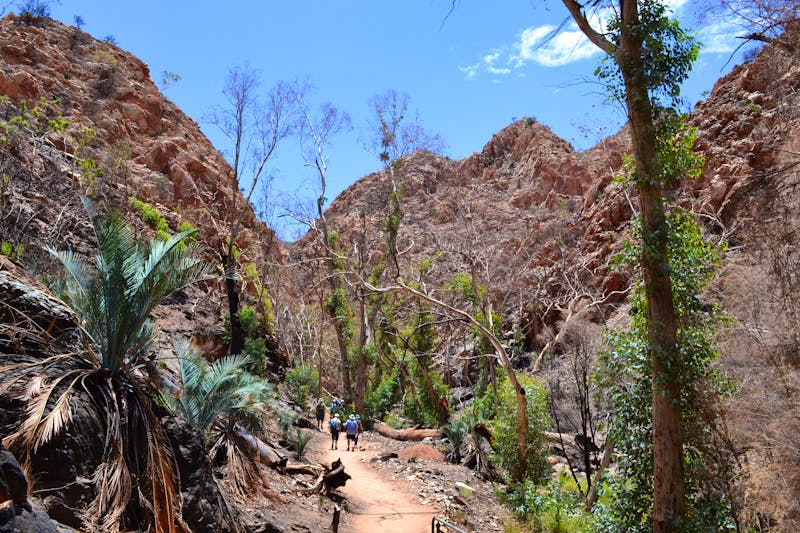 Alice Springs und MacDonnell Ranges - Standley Chasm - ©Andreas Wolfsteller