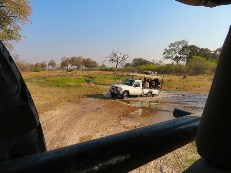 Auf Safari im Moremi-Wildreservat  - ©Kathrin Mickan-Eberhardt TRAVEL