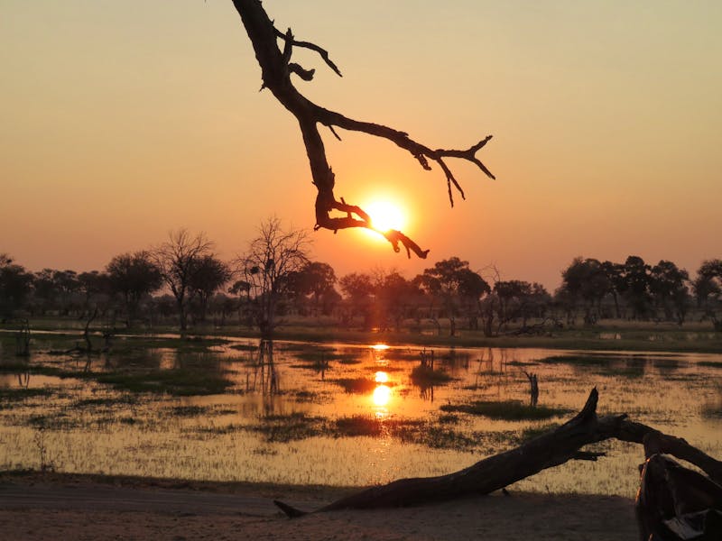 Sonnenuntergang am Khwai-Fluss - ©Kathrin Mickan-Eberhardt TRAVEL