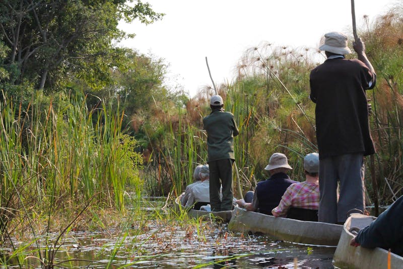 Fahrt mit den Mokoros auf dem Okavango - ©Vicky Kern - Eberhardt TRAVEL