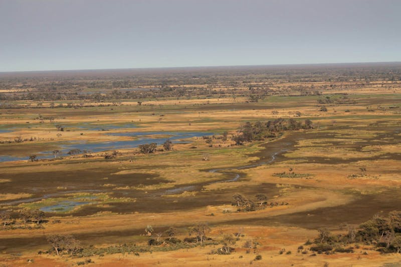 Flug über das Okavango-Delta - ©Vicky Kern - Eberhardt TRAVEL