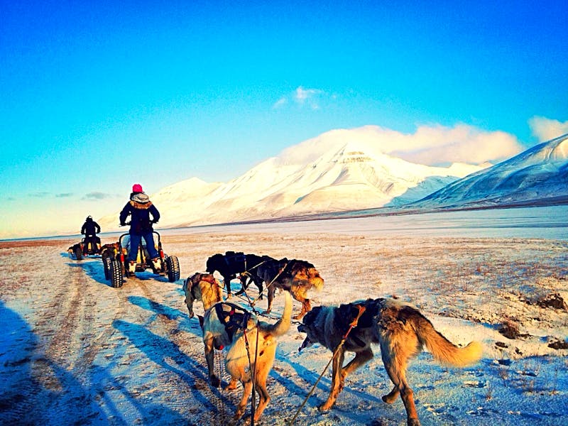 Hundeschlittenfahrt auf Spitzbergen (Svalbard) - ©tranja/Foap/Visitnorway.com