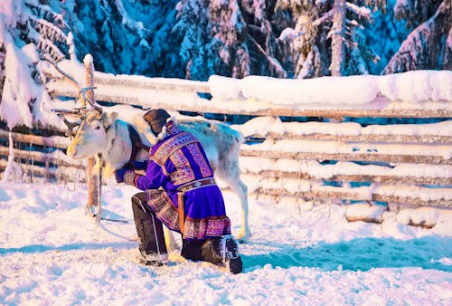 Besuch im Samen-Dorf in Lappland &ndash; &copy; ©Roman Babakin - stock.adobe.com