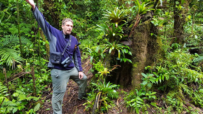 Unser Reiseleiter bei der Wanderung im Nebelwald - ©Eberhardt TRAVEL - Ria Heilmann