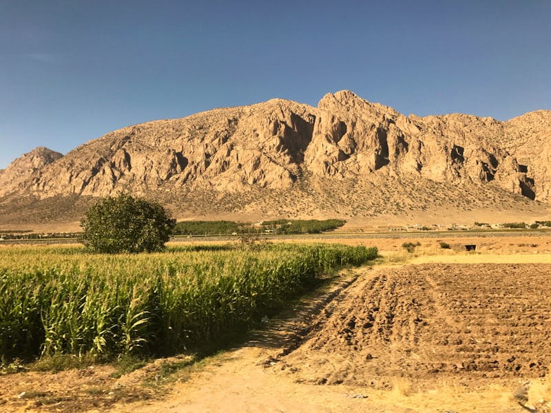 Unterwegs nach Shiraz - ©Isabel Braksiek