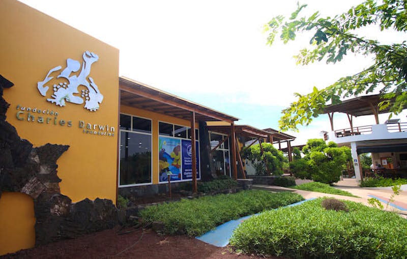 Charles Darwin Station in Puerto Ayora - Ausstellungshalle - ©Phttps://www.darwinfoundation.org/