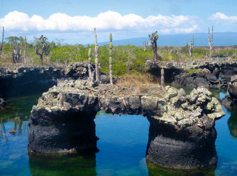 Galapagos Los Tuneles - ©Eberhardt TRAVEL