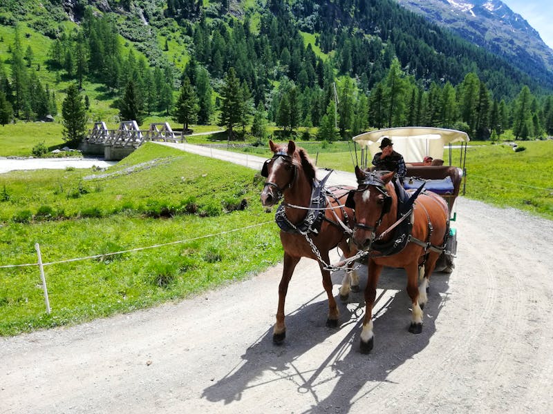 Mit Pferdekutschen ins Val Roseg - ©Gisela Gerlach