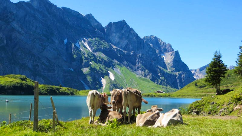 Wanderung am Trübsee - ©Annette Weise