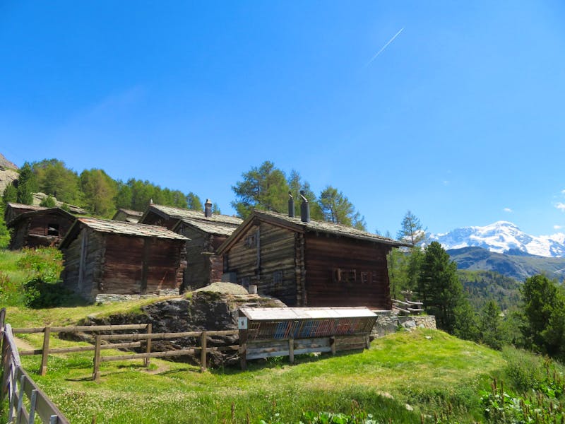 Zermatt - Wanderung auf dem Blumenweg Tufteren - ©Annette Weise