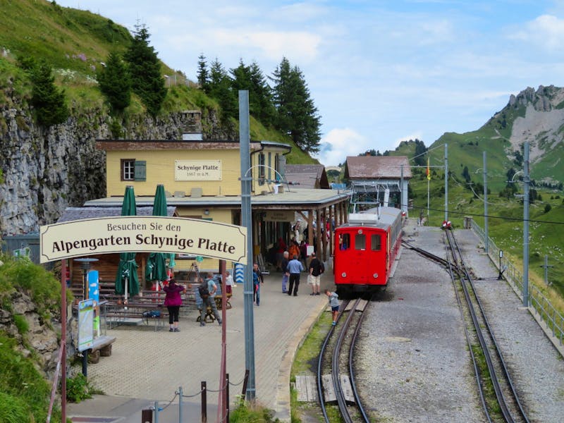 Auf der Schynigen Platte  - ©Annette Weise